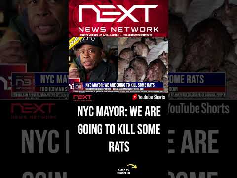 You are currently viewing NYC MAYOR: WE ARE GOING TO KILL SOME RATS #shorts