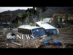 Read more about the article Italy landslide, World Cup, Georgia voting: World in Photos, Nov. 28