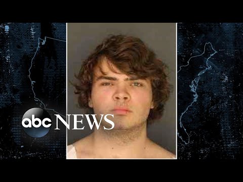 You are currently viewing Families of the Buffalo shooting victims react to suspect pleading guilty l ABCNL
