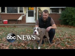 Read more about the article Kansas man credits dog with saving him from fire