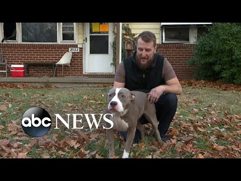 You are currently viewing Kansas man credits dog with saving him from fire