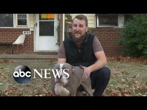 Read more about the article Hero dog saves owner