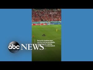Read more about the article Man runs onto World Cup field, does flips