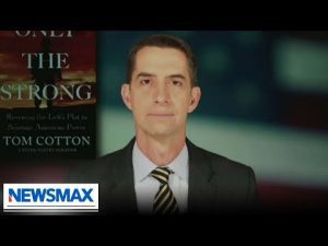 Read more about the article Tom Cotton: Democrats are worried about threats from democracy | National Report