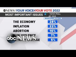 Read more about the article Polls show voters most focused on economy, inflation ahead of midterms
