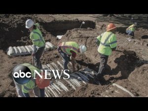 Read more about the article 24 unmarked graves uncovered in probe of 1921 Tulsa Race Massacre