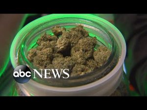Read more about the article Marijuana legalization on the ballot in 5 states