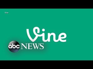 Read more about the article Elon Musk plans to bring back Vine