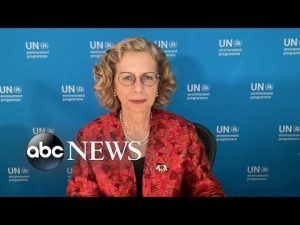 Read more about the article Climate reparations take center stage at COP27 l ABCNL