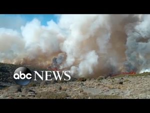 Read more about the article Wildfires continue to rage on Mount Kilimanjaro