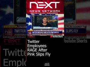 Read more about the article Twitter Employees RAGE After Pink Slips Fly #shorts