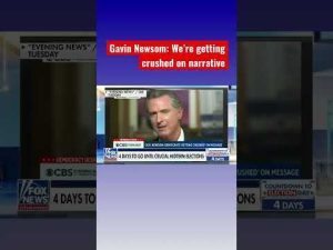 Read more about the article Gavin Newsom: Democrats have to ‘stop being on the damn defense’ #shorts
