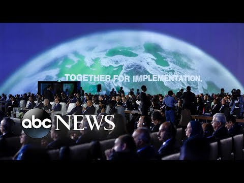 You are currently viewing COP27, Seoul crush vigil, NYC Marathon; World in Photos, Nov. 7