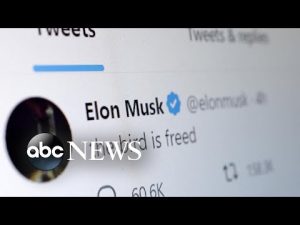 Read more about the article What Musk’s acquisition of Twitter means ahead of midterms
