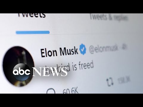You are currently viewing What Musk’s acquisition of Twitter means ahead of midterms