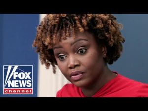 Read more about the article African reporter fires back at White House press secretary