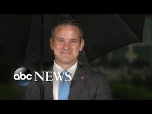 Read more about the article Criminal referral makes clear that ‘a crime has been committed here’: Adam Kinzinger l This Week