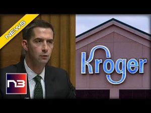 Read more about the article HAHA! WOKE CEO Stunned After Showing Up to BEG Tom Cotton For Help