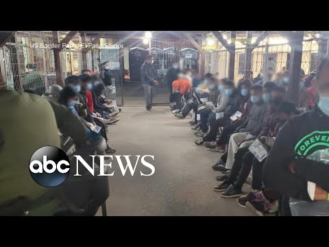 You are currently viewing Hundreds of migrants cross Rio Grande at US-Mexico border