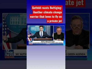 Read more about the article Gutfeld torpedoes Buttigieg over his hypocritical private flights #shorts