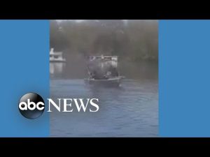 Read more about the article Boater grabs kangaroo by the ears to save it from drowning