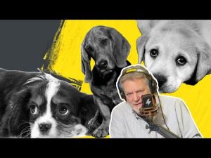 Read more about the article The Left Wants To Get Rid of Your Pets | @PatGray
