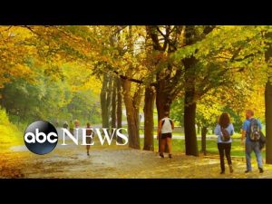 Read more about the article Earth had its 5th warmest fall on record: NOAA