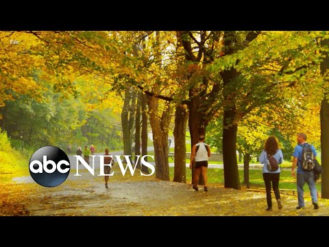 You are currently viewing Earth had its 5th warmest fall on record: NOAA