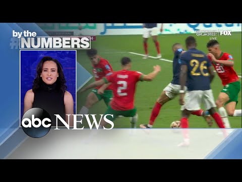 You are currently viewing By the Numbers: World Cup final
