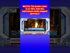 Read more about the article Sean Hannity on media covering border crisis: Where have these people been the last 2 years? #shorts