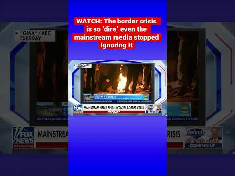 You are currently viewing Sean Hannity on media covering border crisis: Where have these people been the last 2 years? #shorts