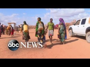 Read more about the article ‘Humanitarian action does work’: International Rescue Committee president | ABCNL