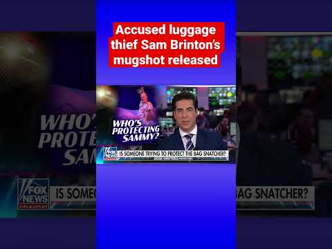You are currently viewing Jesse Watters: We get the feeling someone is still protecting Sam Brinton #shorts