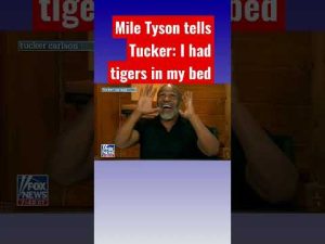 Read more about the article Tucker laughs at Mike Tyson’s pet tiger stories #shorts