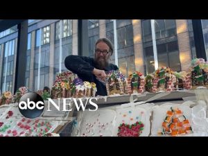 Read more about the article Record-breaking gingerbread village builder brings holiday cheer | ABCNL