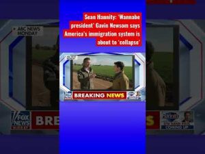 Read more about the article Sean Hannity: Gavin Newsom is now trying to figure out why the border is such a mess #shorts