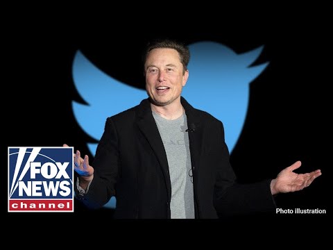 You are currently viewing ‘The Five’: Elon Musk causes media meltdown after latest Twitter move