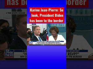 Read more about the article Peter Doocy presses White House over false claims of Biden border visit #shorts