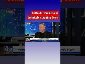 Read more about the article Gutfeld: Elon Musk needs a ‘host’ for Twitter #shorts #shortsfeed #shortsvideo