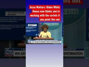 Read more about the article Jesse Watters: Biden’s border is wide open #shorts
