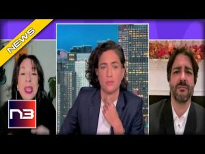 Read more about the article MSNBC Just Lost All Credibility after this Southern Border Segment