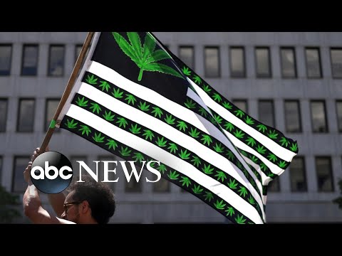 You are currently viewing Major laws going into effect in 2023