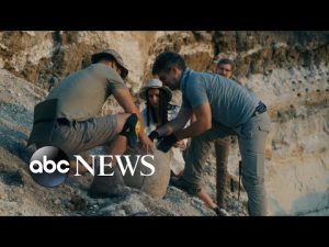 Read more about the article Major archaeological discoveries in 2022