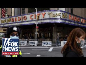 Read more about the article ‘Creepy’ facial recognition to blame after NYC mom booted from Christmas show