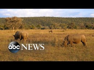 Read more about the article Major discoveries in the animal world in 2022