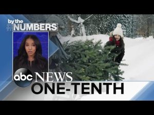 Read more about the article By the Numbers: Artificial vs. real Christmas trees l ABCNL