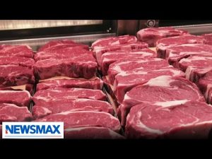 Read more about the article Lab-grown meat gets FDA approval | Stephanie Nash