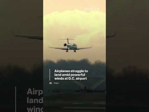 Read more about the article | ABC News