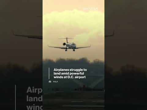 You are currently viewing | ABC News