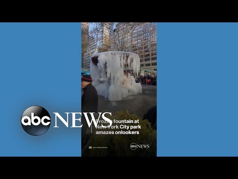 You are currently viewing Frozen fountain amazes onlookers at New York City park